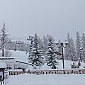 P1080815 - Copie