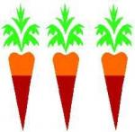 3 carottes