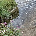 _DSC0637