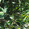DSC01180