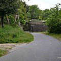 DSC_8953