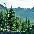 Chinook Pass Scenic Drive