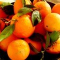 Gelée d'oranges, salade d'oranges et brioche tressée