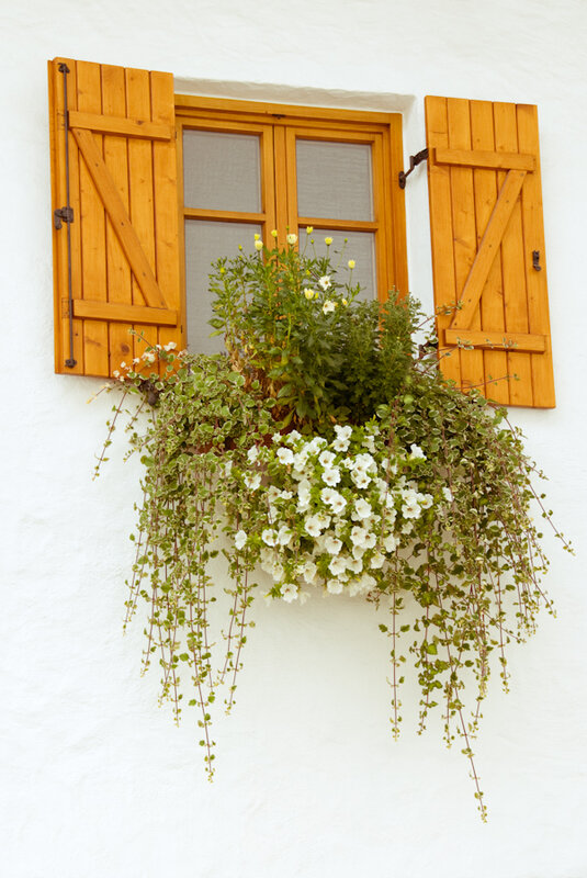 jardin dans la decobelge (255)