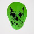 Damien Hirst, The Dead Lime Green Raven Black Skull, 2009