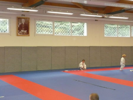 _mile_au_judo_5_novembre_2008__5_