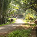 kovalam (331)