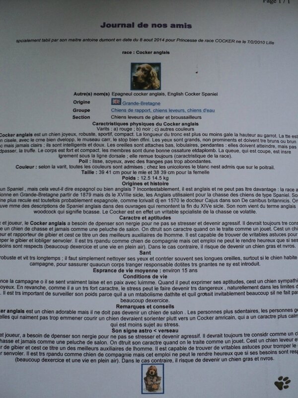 comment-se-remettre-d-une-rupture-amoureuse-10788460cfubw