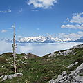 Vallée d'Aspe, dans les nuages (64)