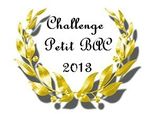 0 Challenge Petit Bac 2013