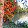 Ambiance d'automne
