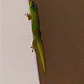 P1120773