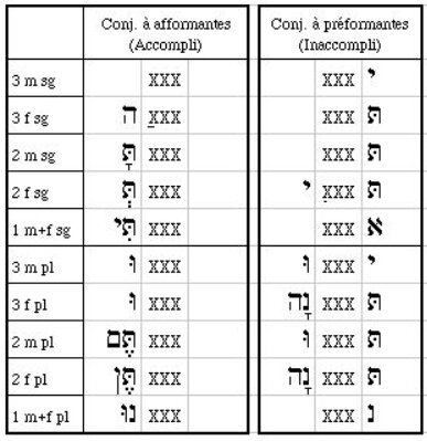 conjugaison en hébreu
