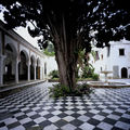 21-Alger Centre Musée du Bardo-18
