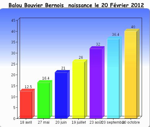 Courbe de poids Balou, Bouvier Bernois - Album photos Courbe de poids Balou, Bouvier Bernois - Album photos