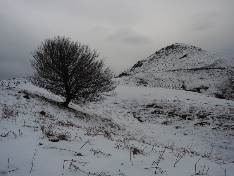 DSCN9822_1