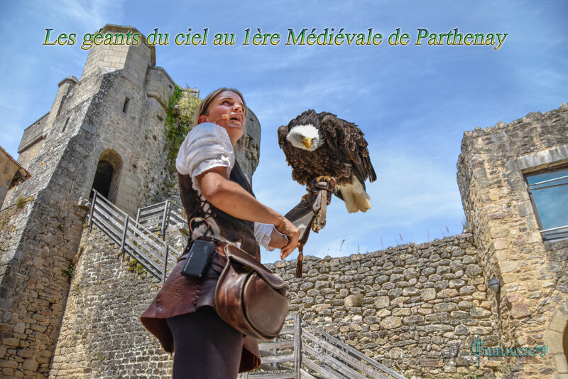 Les géants du ciel au 1ère Médiévale de Parthenay
