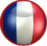 018-gif-anime-mondial-football-2014-logo-France-Equateur