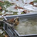 IMG_4392