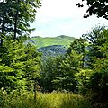 Le Layens depuis le bas du Castillon...