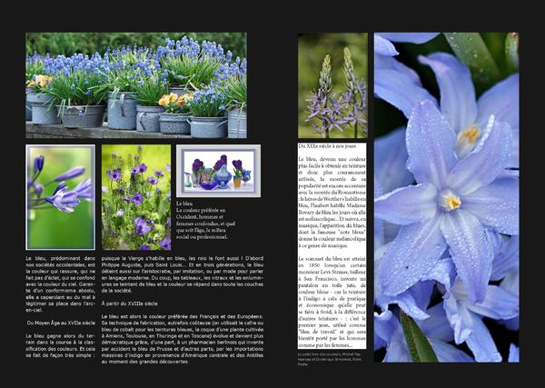 GardenColours1_Page_03