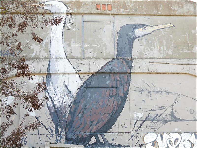 les oiseaux