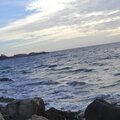 _DSC0584