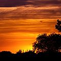 crepuscule