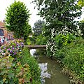 IMGP3846