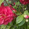 WP_20170404_013