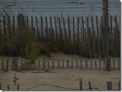 P1160322