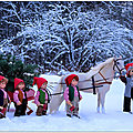 IMG_8105-1-5