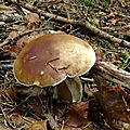 DSC05642