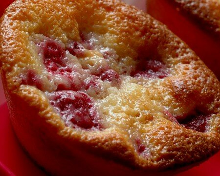 DSC_8208_bis_Petits_g_teaux_ricotta_amande_framboise