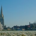 _IGP6540