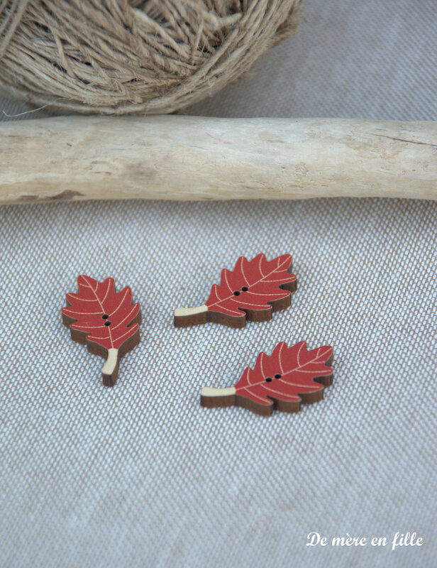 feuilles de chêne rouge