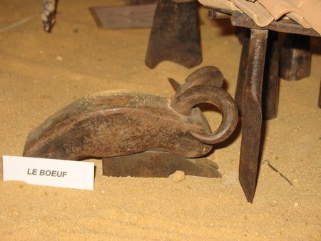 24_le_boeuf_IMG_8091__800x600_