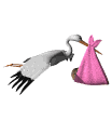gif_image_oiseau_1