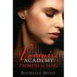 vampire academy 4