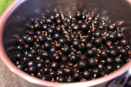 Sorbet Au Cassis Pour Ceux Qui Aiment Cuisiner