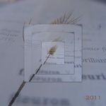 Montages1