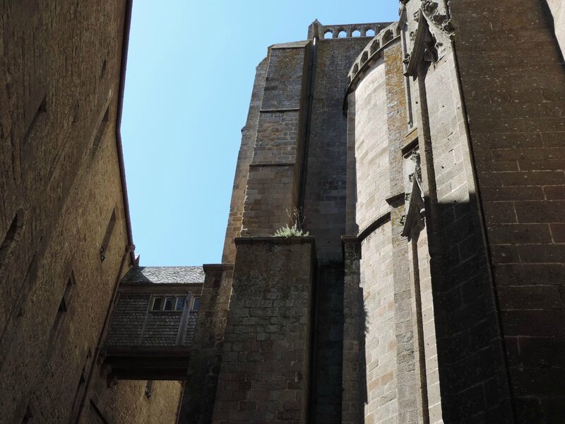 _copie-0_DSCN9213