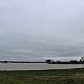 IMG_0262