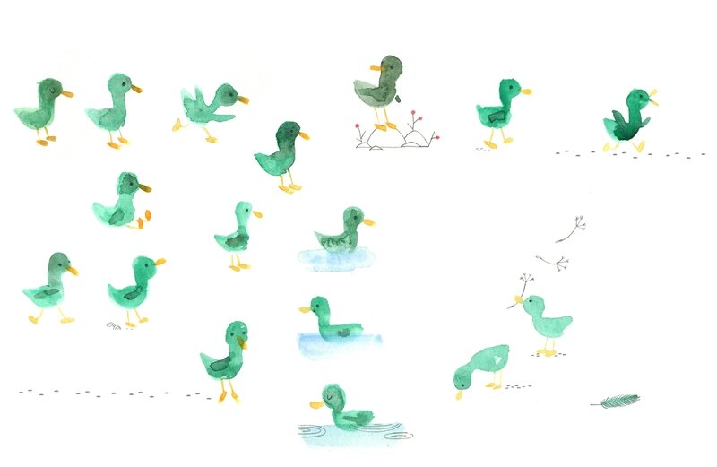 canard1