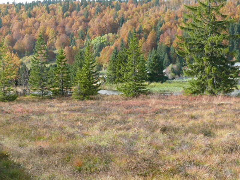 Automne sur le lac des Rousses - Copie