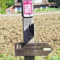 IMGP4764