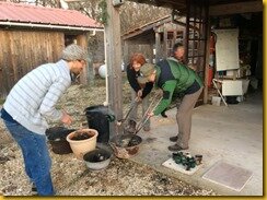 IMG_5952 IMG_5952