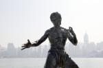 bruce-lee-2644599_1920