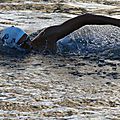 IMG_8144 - Copie
