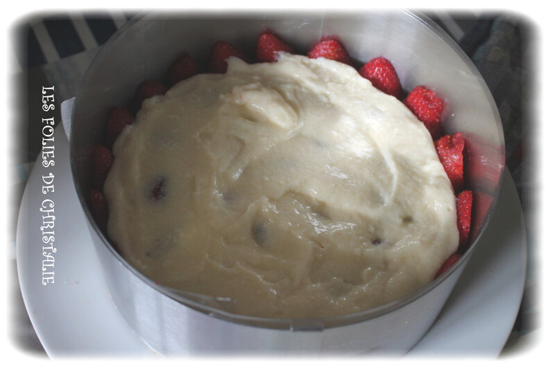 Fraisier 9